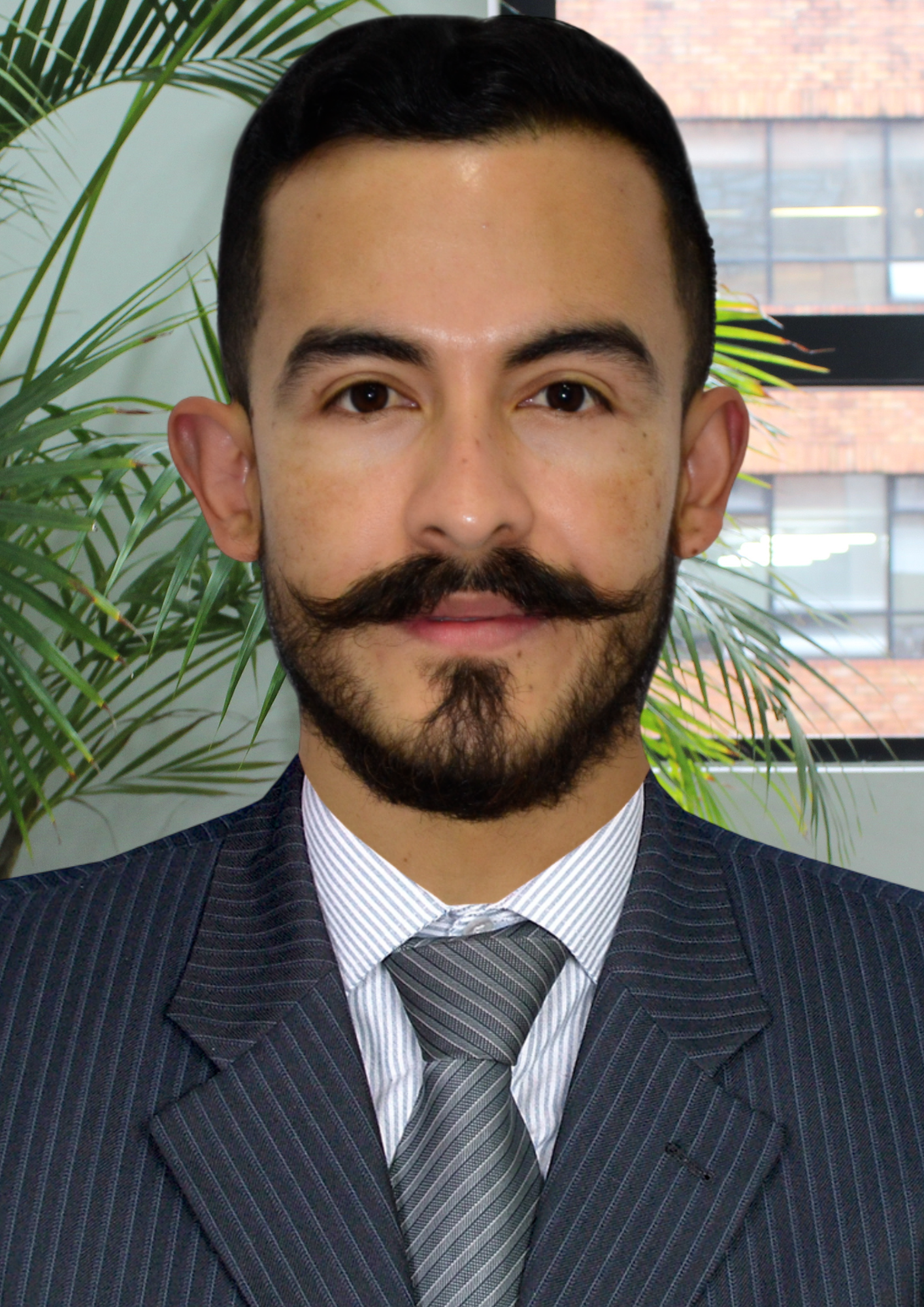 Luis Albeiro Perdomo Sandoval Pontificia Universidad Javeriana